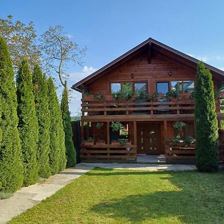 ホテル Casa Gherman トゥルダ エクステリア 写真