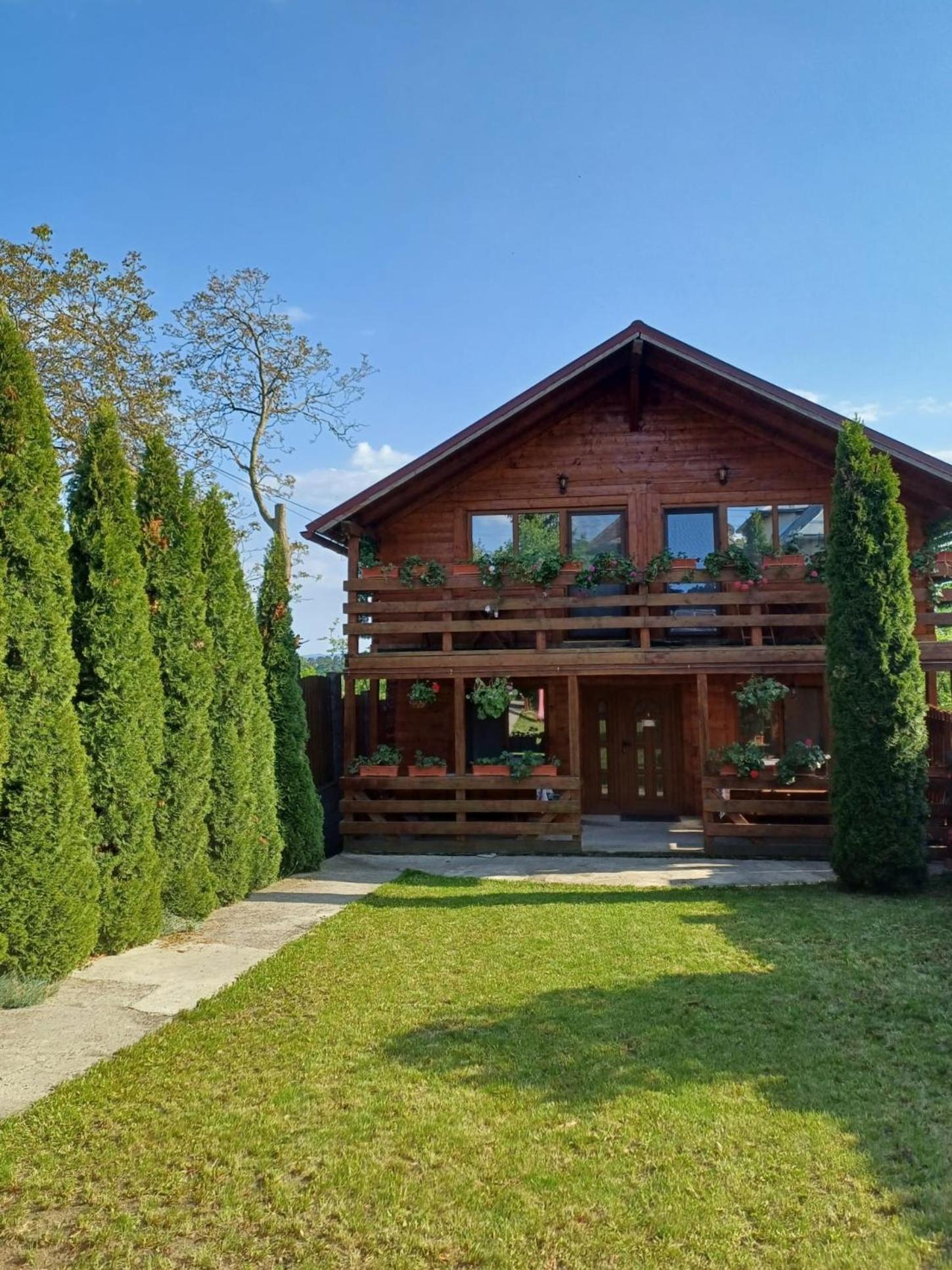 ホテル Casa Gherman トゥルダ エクステリア 写真