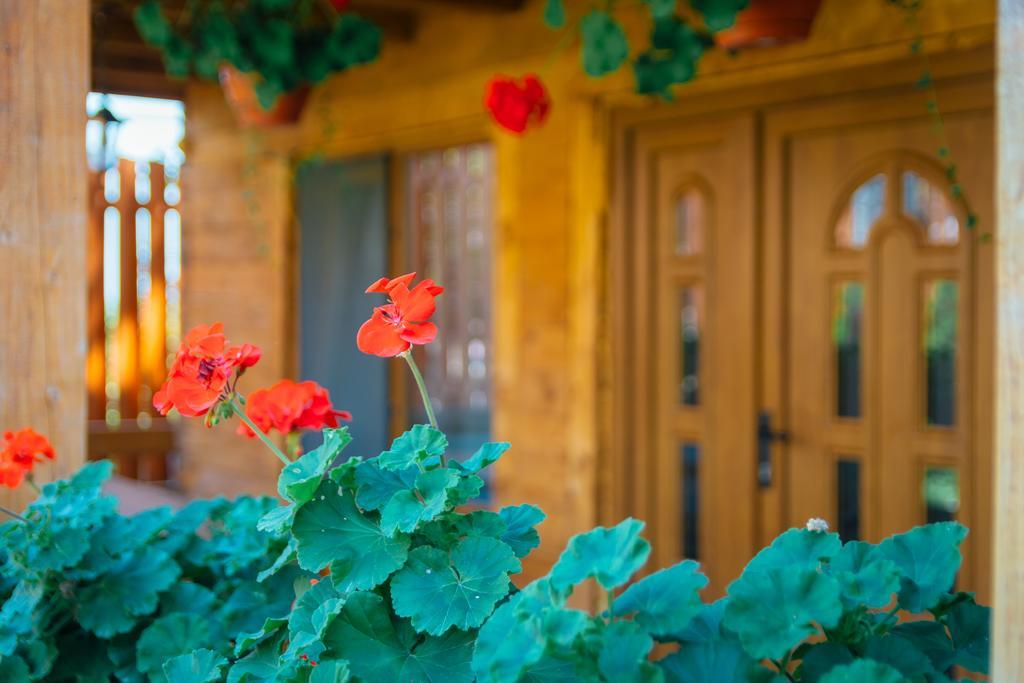 ホテル Casa Gherman トゥルダ エクステリア 写真